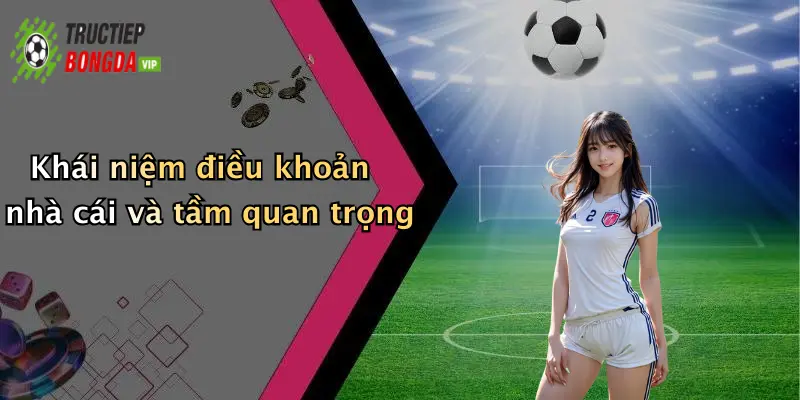 Khái niệm điều khoản nhà cái và tầm quan trọng