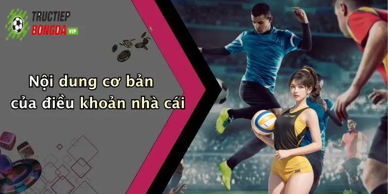 Nội dung cơ bản của điều khoản nhà cái