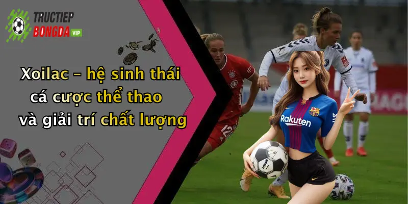 Xoilac – hệ sinh thái cá cược thể thao và giải trí chất lượng