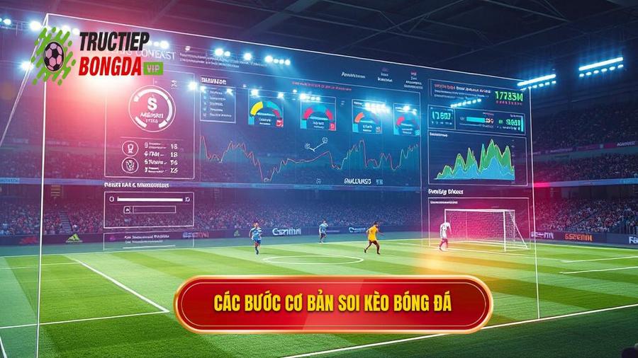 Các bước cơ bản trong hướng dẫn soi kèo bóng đá