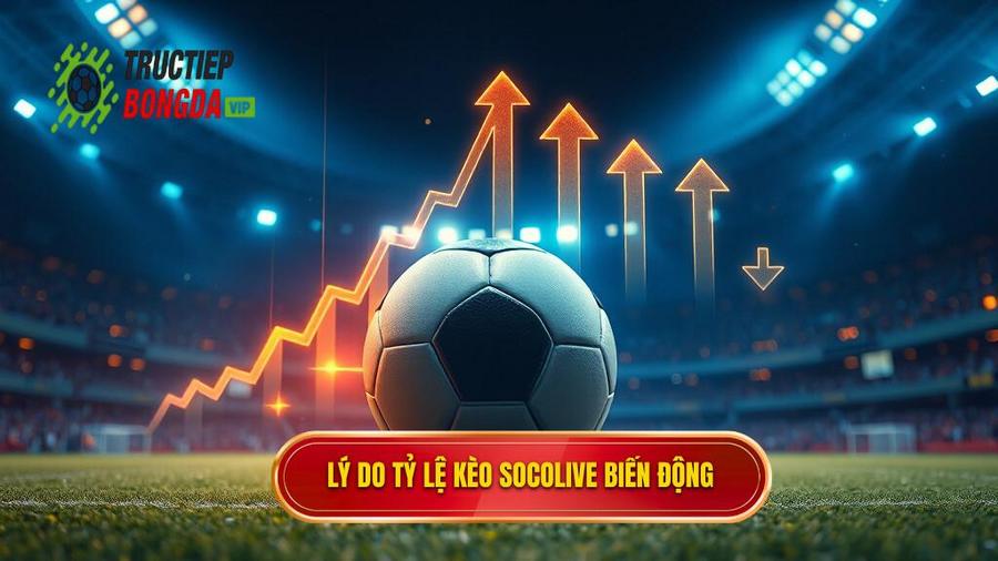 Phân tích đa chiều: Tại sao tỷ lệ kèo bóng đá Socolive lại biến động?