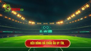 Kèo Bóng Đá Châu Âu: Cẩm Nang Toàn Tập Và Chiến Thuật Chinh Phục Đỉnh Cao
