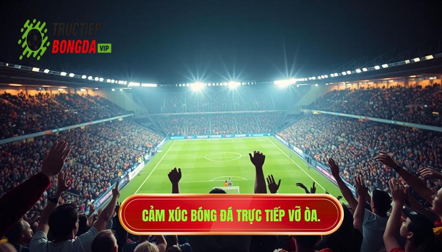 Tại sao bóng đá trực tiếp lại mang đến cảm xúc đặc biệt?