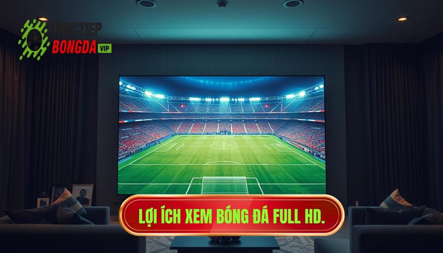 Tại sao xem bóng đá trực tiếp full HD là ưu tiên hàng đầu?