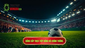 Bóng đá trực tiếp – cảm xúc thật nhất: Khi đam mê hòa cùng nhịp đập sân cỏ